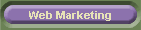 Web Marketing